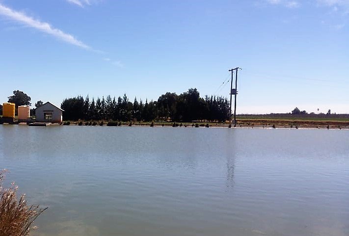Commercial Property for Sale in Hartswater Rural Northern Cape